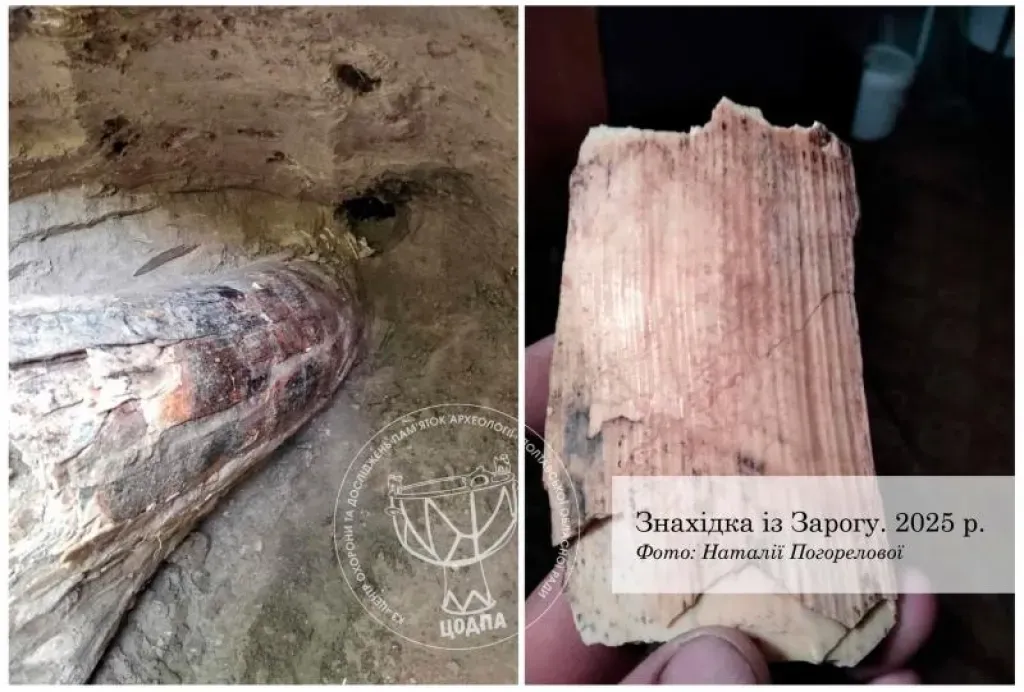 На Полтавщині знайшли уламки мамонтового бивня: унікальне відкриття біля Оржиці