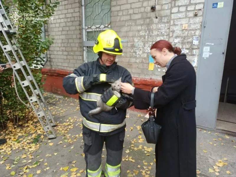 У Кременчуці рятувальники зняли кота з дерева: тварина знайшла нову родину