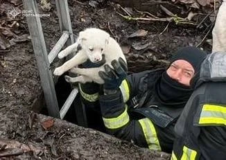 У Кременчуцькому районі врятували маленького чотирилапого з глибокої криниці