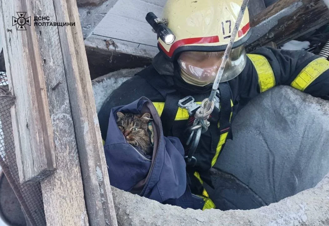 Операція на глибині восьми метрів: у Горішніх Плавнях рятувальники дістали кошенят із пастки