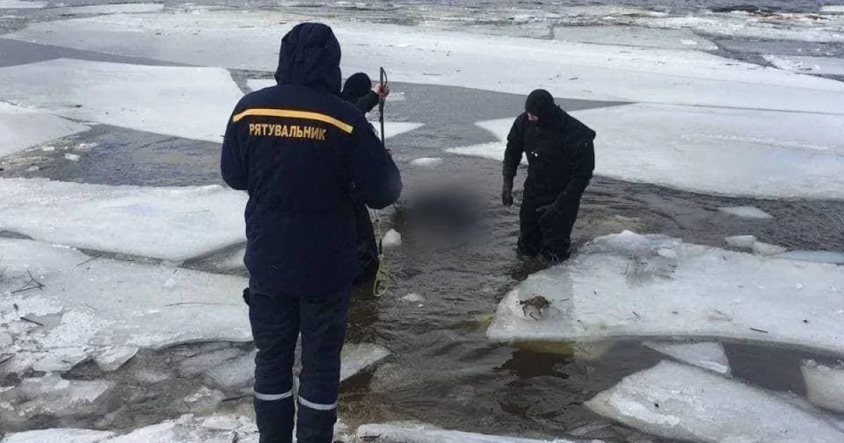 Порятунок на Дніпрі: у Кременчуці витягли собак із крижаної пастки